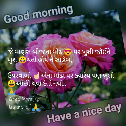 Gujarati Good Morning Status By Bharatvasava On 18 Jan 2019 11 54