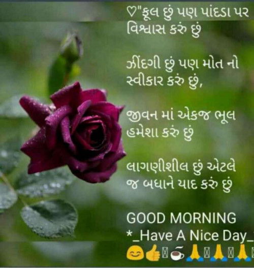 Gujarati Good Morning Status By Mehul Kumar On 07 Jun 2019 05 47