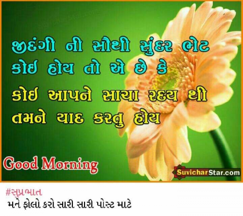 Gujarati Good Morning Status By Anandi On 01 Jan 2020 06 00 37am